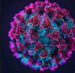 Etude de l'activité des secteurs pendant la période de covid