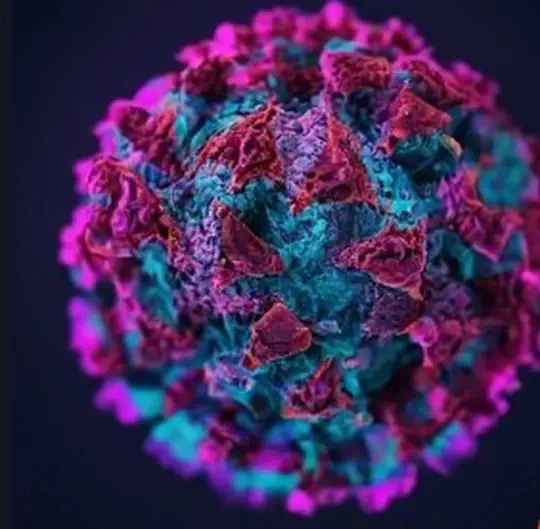 Etude de l'activité des secteurs pendant la période de covid